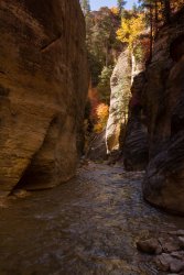 Zion Kolob The North Fork 10-20190712.jpg