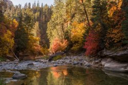 Zion Kolob The North Fork 10-20190936.jpg