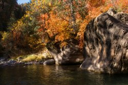 Zion Kolob The North Fork 10-20190942.jpg