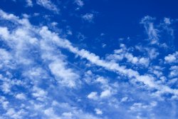 IMG_5379.jpg IMG_5379.jpg