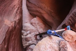 IMG_5380.jpg IMG_5380.jpg