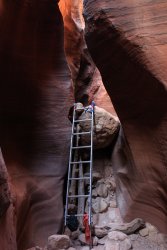 IMG_5381.jpg IMG_5381.jpg