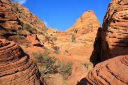 IMG_5382.jpg IMG_5382.jpg