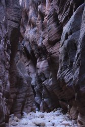 IMG_5388.jpg IMG_5388.jpg