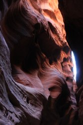 IMG_5394.jpg IMG_5394.jpg