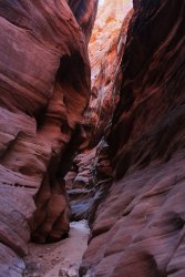 IMG_5400.jpg IMG_5400.jpg