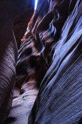 IMG_5405.jpg IMG_5405.jpg