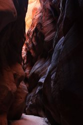 IMG_5409.jpg IMG_5409.jpg