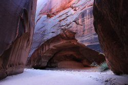 IMG_5418.jpg IMG_5418.jpg