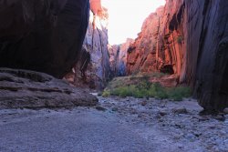 IMG_5419.jpg IMG_5419.jpg