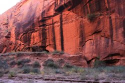 IMG_5420.jpg IMG_5420.jpg