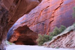 IMG_5424.jpg IMG_5424.jpg