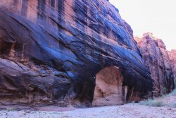 IMG_5425.jpg IMG_5425.jpg