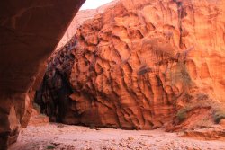 IMG_5429.jpg IMG_5429.jpg