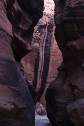 IMG_5431.jpg IMG_5431.jpg