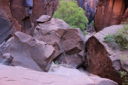 IMG_5445.jpg IMG_5445.jpg