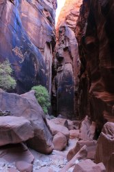 IMG_5448.jpg IMG_5448.jpg