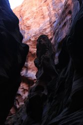 IMG_5466.jpg IMG_5466.jpg