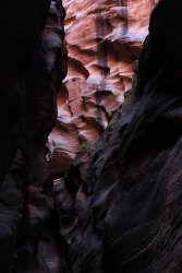 IMG_5467.jpg IMG_5467.jpg