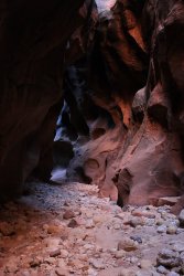 IMG_5472.jpg IMG_5472.jpg