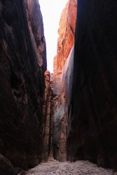 IMG_5477.jpg IMG_5477.jpg