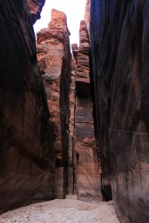 IMG_5479.jpg IMG_5479.jpg