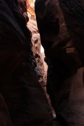 IMG_5480.jpg IMG_5480.jpg