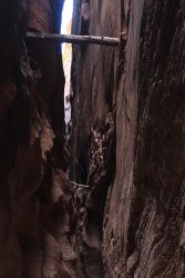 IMG_5484.jpg IMG_5484.jpg