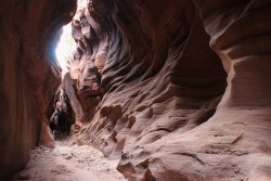 IMG_5488.jpg IMG_5488.jpg