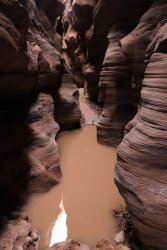 IMG_5494.jpg IMG_5494.jpg