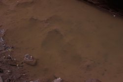 IMG_5495.jpg IMG_5495.jpg