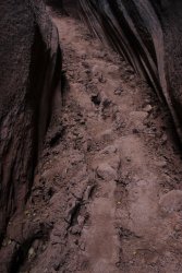 IMG_5496.jpg IMG_5496.jpg