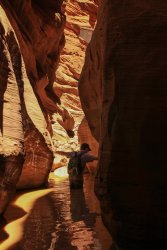 IMG_5496a.jpg IMG_5496a.jpg