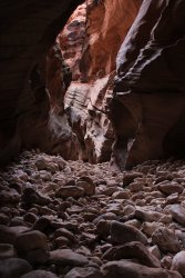 IMG_5497.jpg IMG_5497.jpg