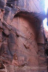 IMG_5503.jpg IMG_5503.jpg