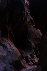 IMG_5510.jpg IMG_5510.jpg