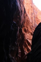 IMG_5514.jpg IMG_5514.jpg