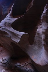 IMG_5515.jpg IMG_5515.jpg