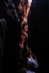 IMG_5516.jpg IMG_5516.jpg