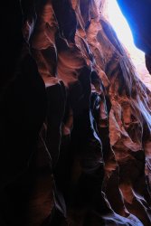 IMG_5517.jpg IMG_5517.jpg