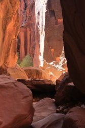 IMG_5519.jpg IMG_5519.jpg