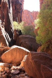 IMG_5522.jpg IMG_5522.jpg