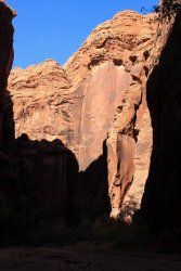 IMG_5525.jpg IMG_5525.jpg