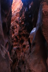 IMG_5527.jpg IMG_5527.jpg