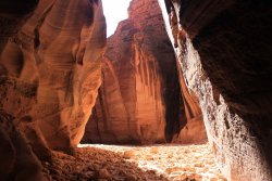 IMG_5531.jpg IMG_5531.jpg