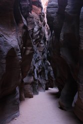 IMG_5537.jpg IMG_5537.jpg