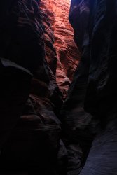 IMG_5539.jpg IMG_5539.jpg