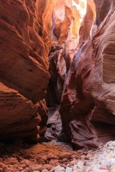 IMG_5541.jpg IMG_5541.jpg