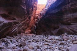 IMG_5542.jpg IMG_5542.jpg