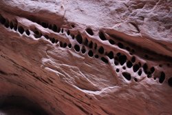 IMG_5544.jpg IMG_5544.jpg